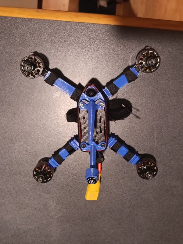 Blubry 5"